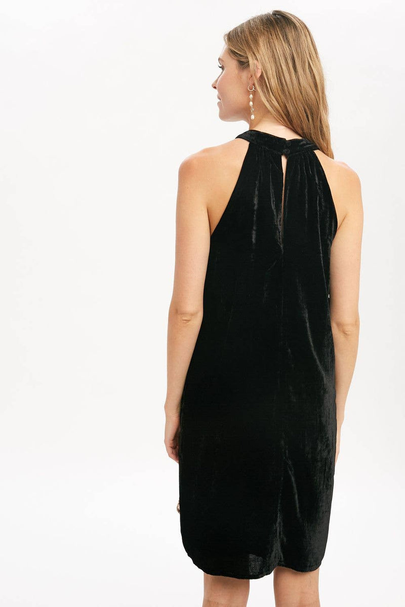 The Velvet Dress