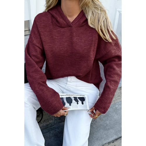 Long Sleeve Hooded Sweater